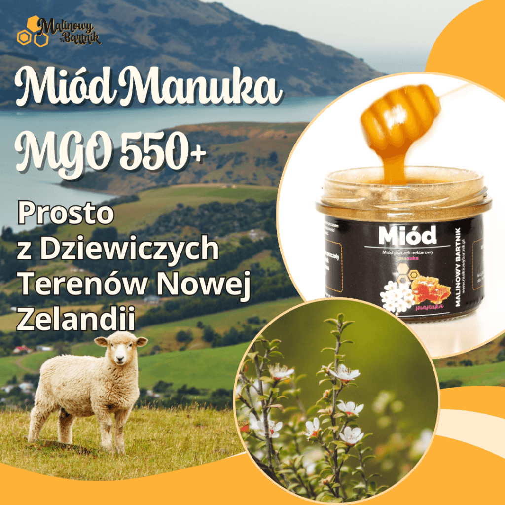 Miód Manuka 250g 550+ MGO atest/certyfikat – zdjęcie 2