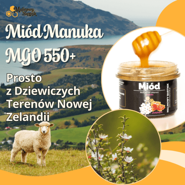 Miód Manuka 250g 550+ MGO atest/certyfikat – zdjęcie 2